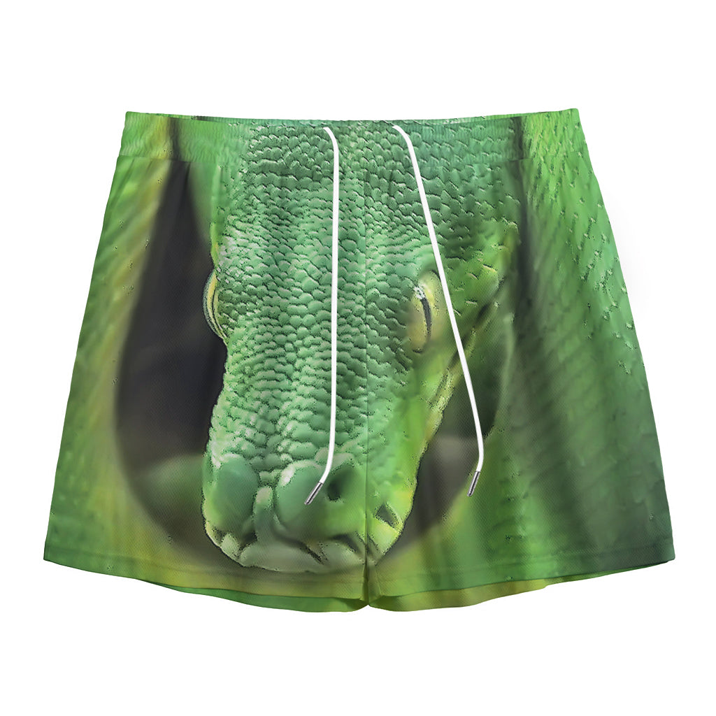 Green Reticulated Python Snake Print Mesh Shorts