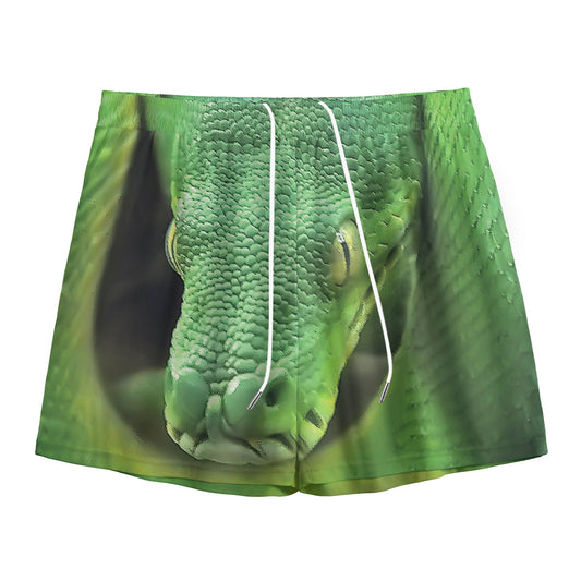Green Reticulated Python Snake Print Mesh Shorts