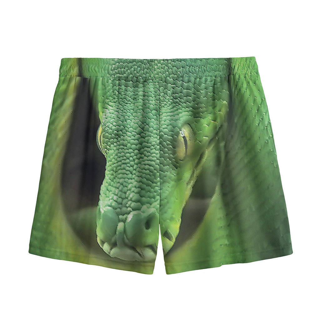 Green Reticulated Python Snake Print Mesh Shorts
