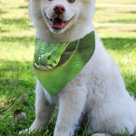 Green Reticulated Python Snake Print Over The Collar Dog Bandana