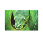 Green Reticulated Python Snake Print Polyester Flag