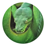 Green Reticulated Python Snake Print Round Blanket