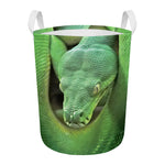 Green Reticulated Python Snake Print Round Laundry Basket