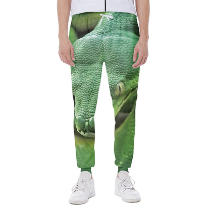 Green Reticulated Python Snake Print Scuba Joggers