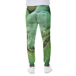 Green Reticulated Python Snake Print Scuba Joggers