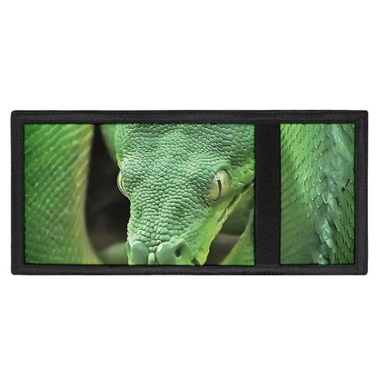 Green Reticulated Python Snake Print Trifold Wallet