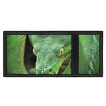 Green Reticulated Python Snake Print Trifold Wallet