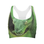 Green Reticulated Python Snake Print Women's Sports Bra