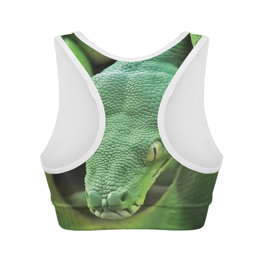 Green Reticulated Python Snake Print Women's Sports Bra