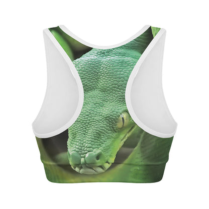 Green Reticulated Python Snake Print Women's Sports Bra