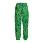 Green Shamrock Leaf Pattern Print Fleece Lined Knit Pants