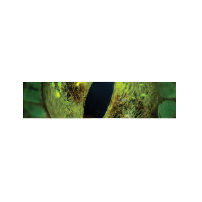 Green Snake Eye Print Bed Runner
