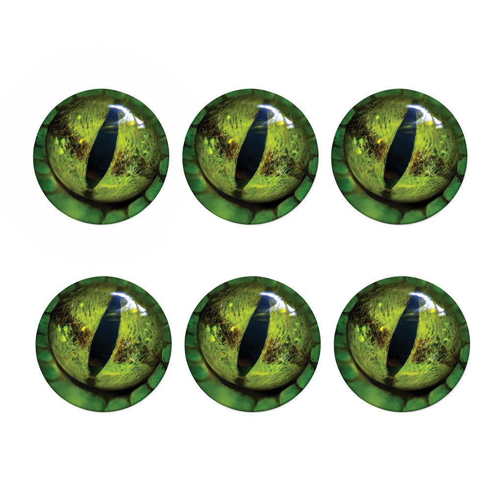 Green Snake Eye Print Coaster Set