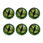 Green Snake Eye Print Coaster Set
