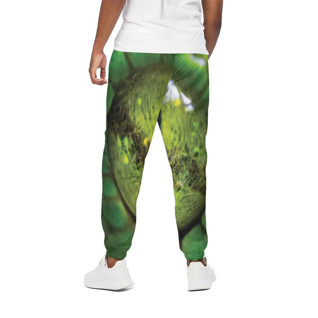 Green Snake Eye Print Cotton Pants