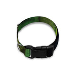Green Snake Eye Print Dog Collar