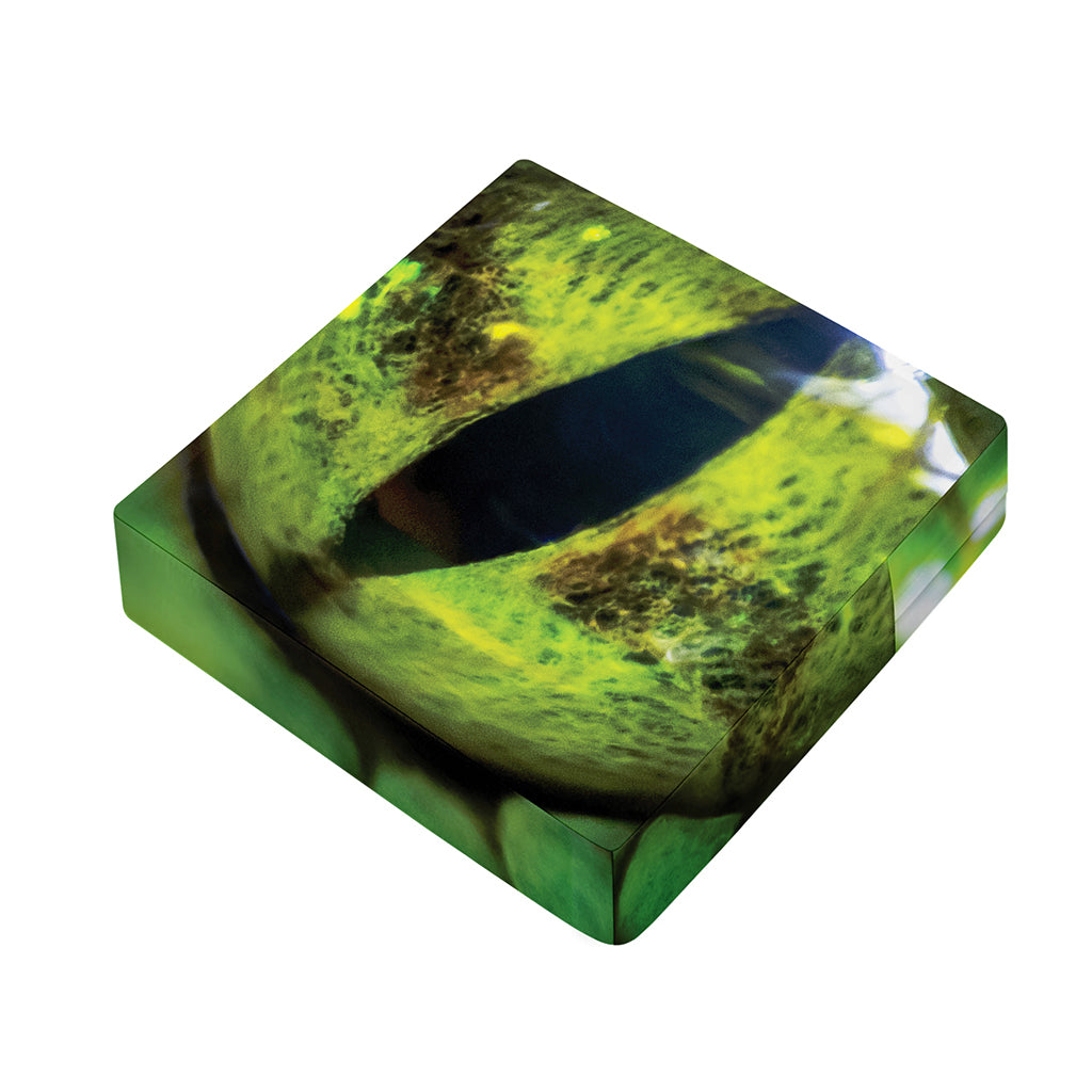 Green Snake Eye Print Outdoor Seat Cushion Cover