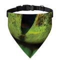 Green Snake Eye Print Over The Collar Dog Bandana