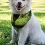 Green Snake Eye Print Over The Collar Dog Bandana