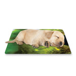 Green Snake Eye Print Pet Cooling Mat Cover