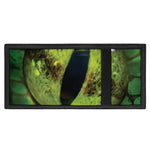 Green Snake Eye Print Trifold Wallet
