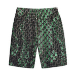 Green Snakeskin Print Cotton Shorts