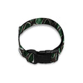 Green Snakeskin Print Dog Collar