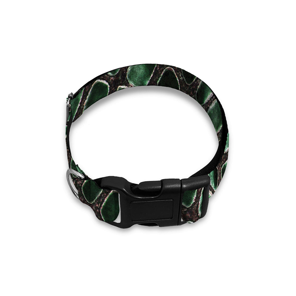 Green Snakeskin Print Dog Collar