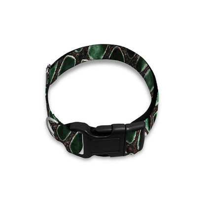 Green Snakeskin Print Dog Collar
