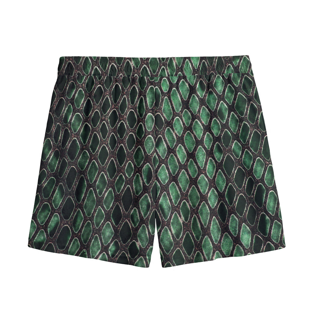 Green Snakeskin Print Mesh Shorts
