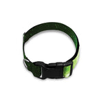 Green Sparkle Galaxy Print Dog Collar