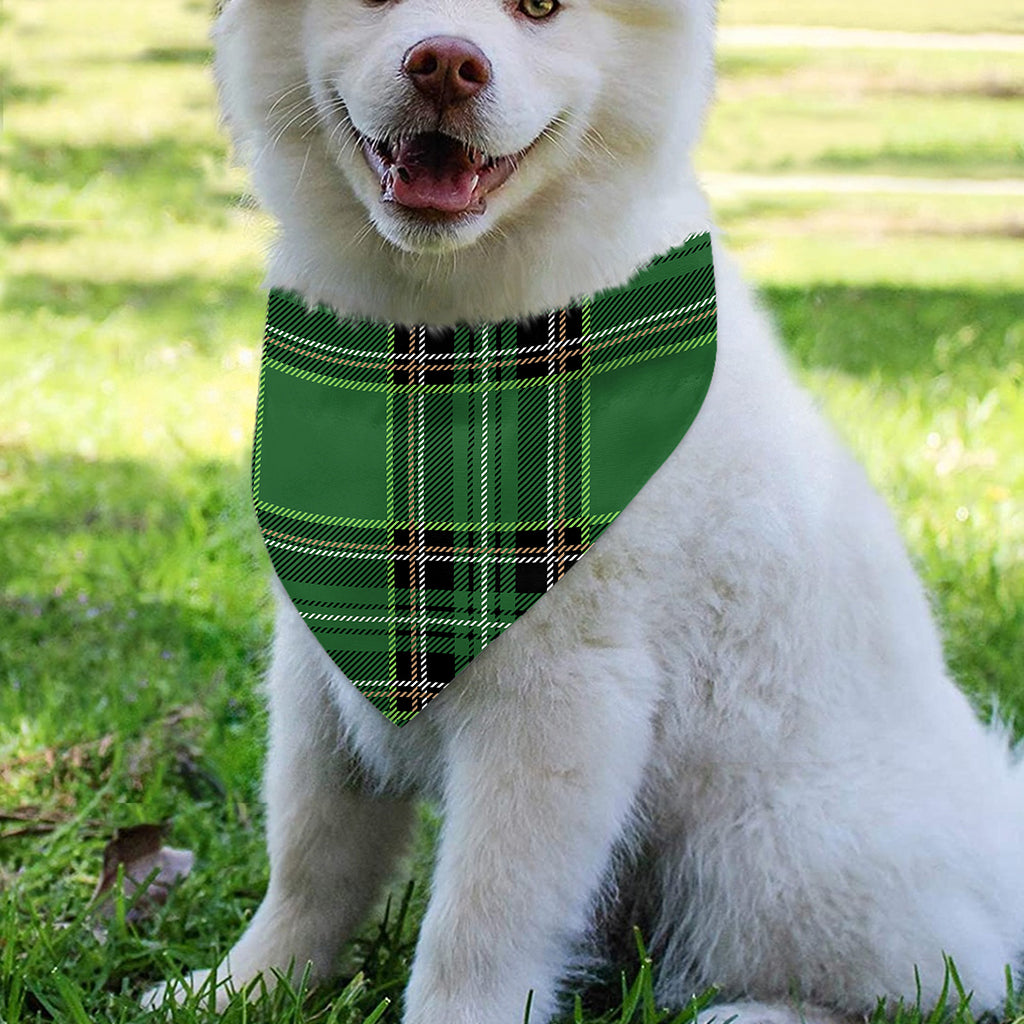 Green Stewart Tartan Pattern Print Over The Collar Dog Bandana