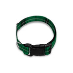 Green Stewart Tartan Print Dog Collar