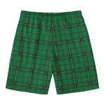 Green Stewart Tartan Print Men's Swim Trunks