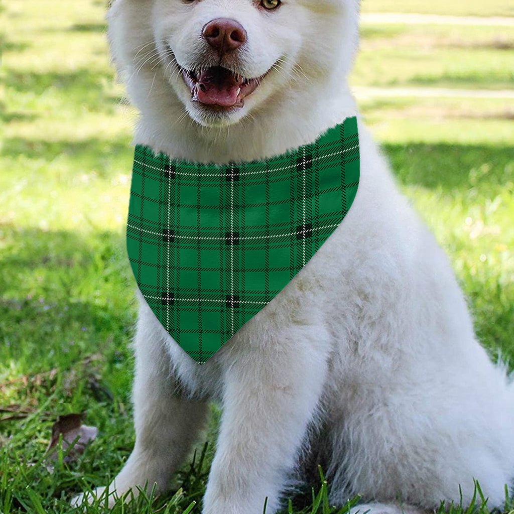 Green Stewart Tartan Print Over The Collar Dog Bandana