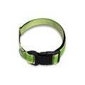 Green Striped Pattern Print Dog Collar