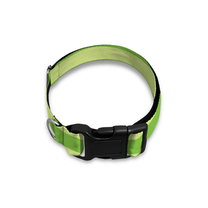 Green Striped Pattern Print Dog Collar