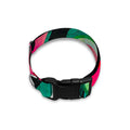 Green Striped Watermelon Pattern Print Dog Collar
