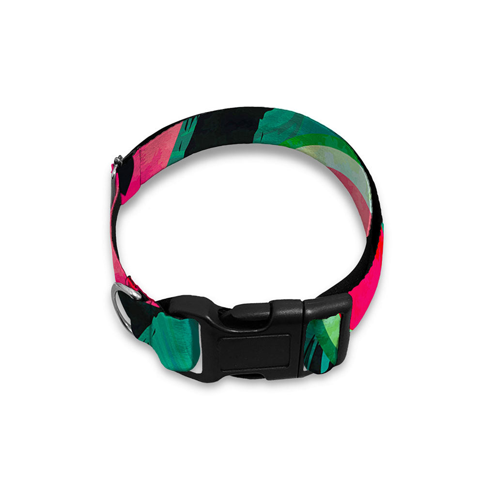 Green Striped Watermelon Pattern Print Dog Collar