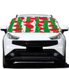 Green Stripes Watermelon Pattern Print Car Windshield Snow Cover