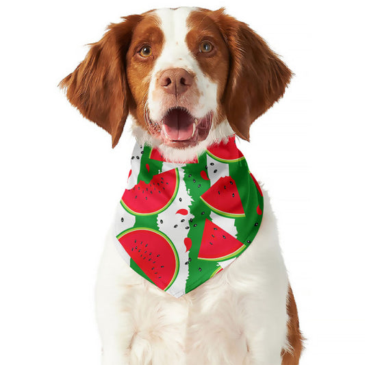 Green Stripes Watermelon Pattern Print Dog Bandana