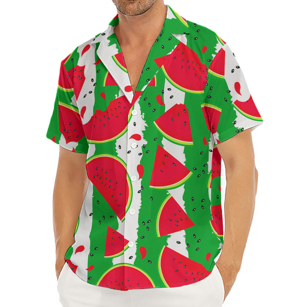 Green Stripes Watermelon Pattern Print Men's Deep V-Neck Shirt