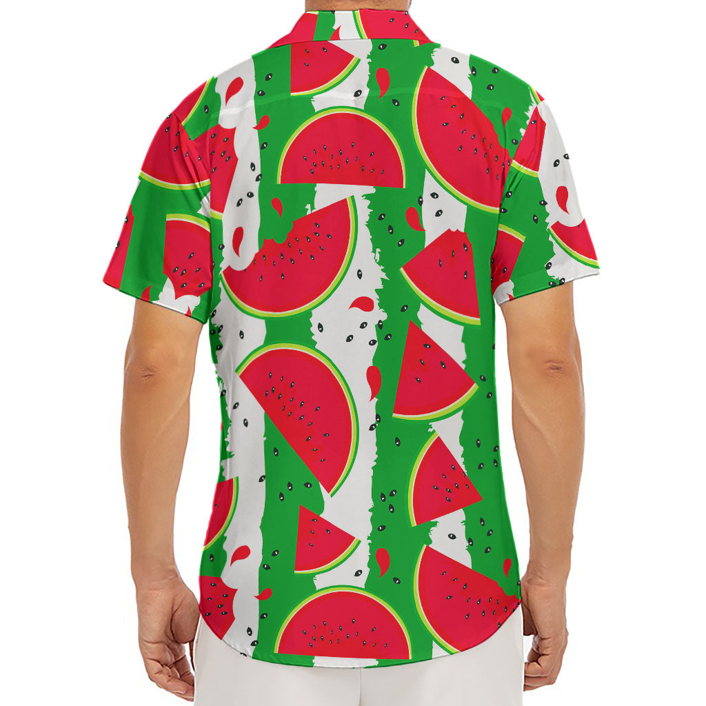 Green Stripes Watermelon Pattern Print Men's Deep V-Neck Shirt