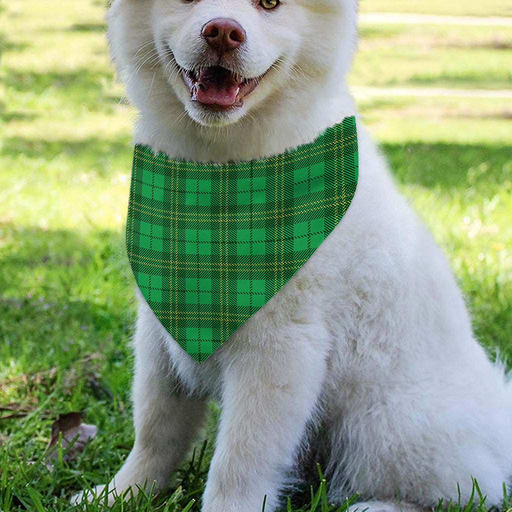 Green Tartan St. Patrick's Day Print Over The Collar Dog Bandana