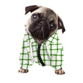 Green Tattersall Pattern Print Dog Zip Up Hoodie