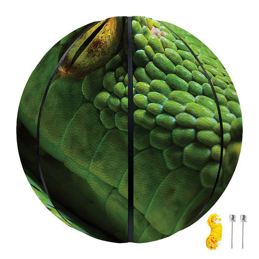 Green Tree Python Snake Print Basketball