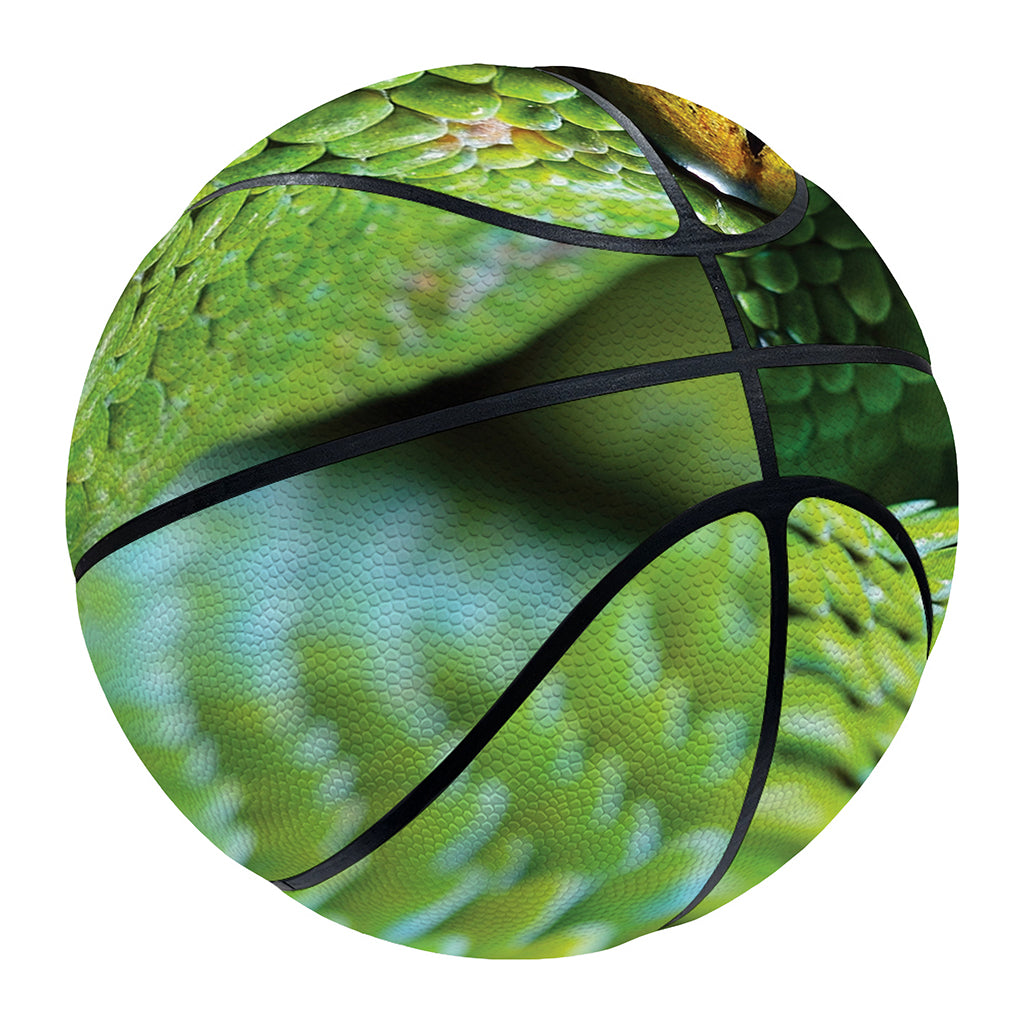 Green Tree Python Snake Print Basketball