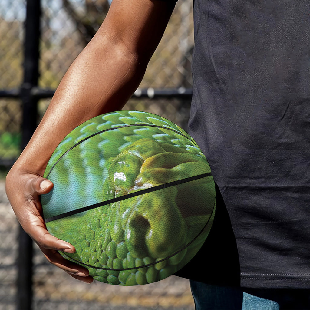 Green Tree Python Snake Print Basketball