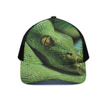Green Tree Python Snake Print Black Mesh Trucker Cap