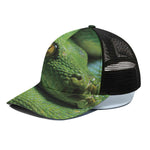 Green Tree Python Snake Print Black Mesh Trucker Cap